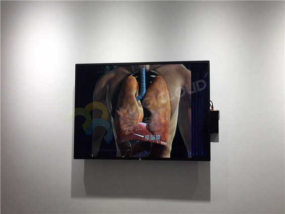 上海市七寶中學