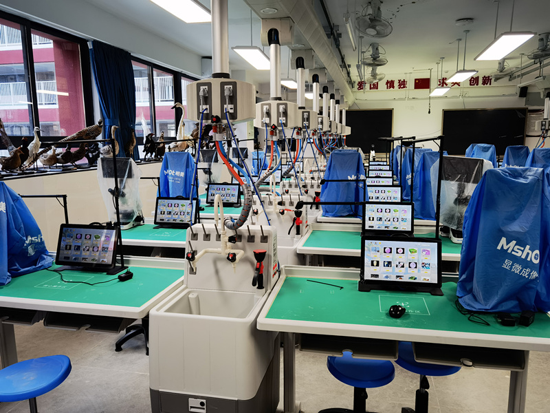 紅嶺教育集團大鵬華僑中學